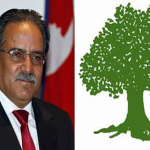 prachanda rukha
