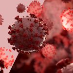 Cut out microscopic close-up of the coronavirus covid-19 disease